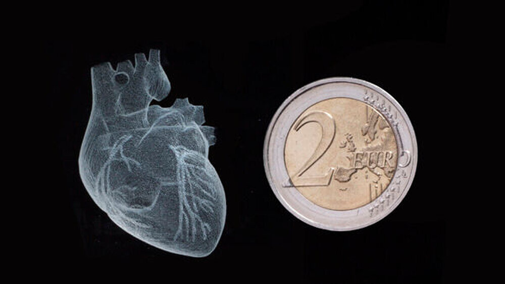 Kaum größer als eine 2-Euro-Münze ist das Herz eines Neugeborenen