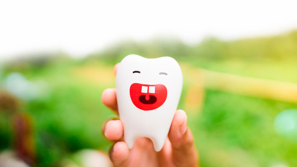Kid hands holding Dental model clean and milk tooth, caries or tooth decay treatment.Dental care clinic.Children's Oral Health.Untreated cavities can cause pain and infections that may lead to problem