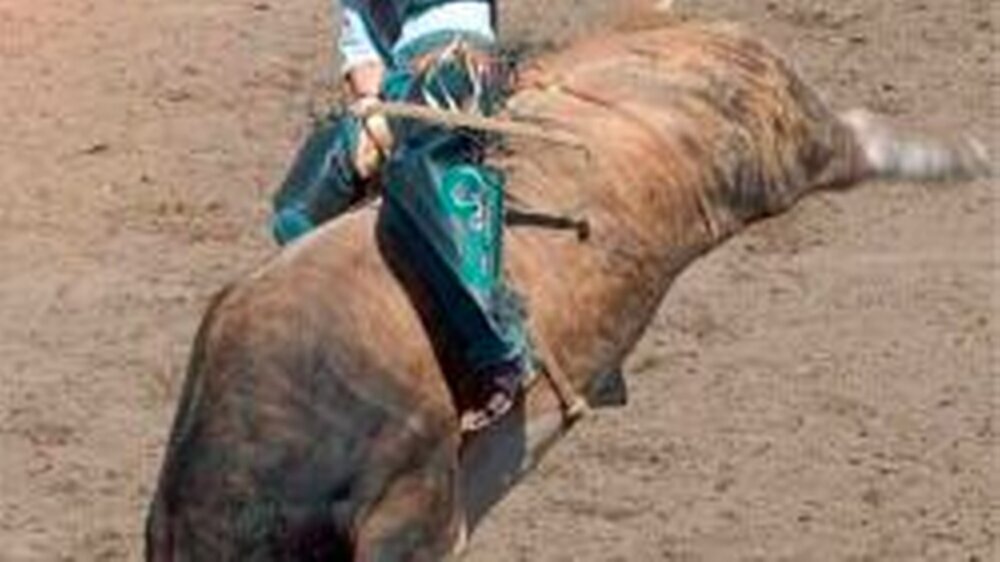 Auch extreme Schwankungen lassen sich aussitzen. Doch dazu gehören Know-how und Umsetzung der Regeln, beim Bull-Riding wie bei der Unternehmensführung.