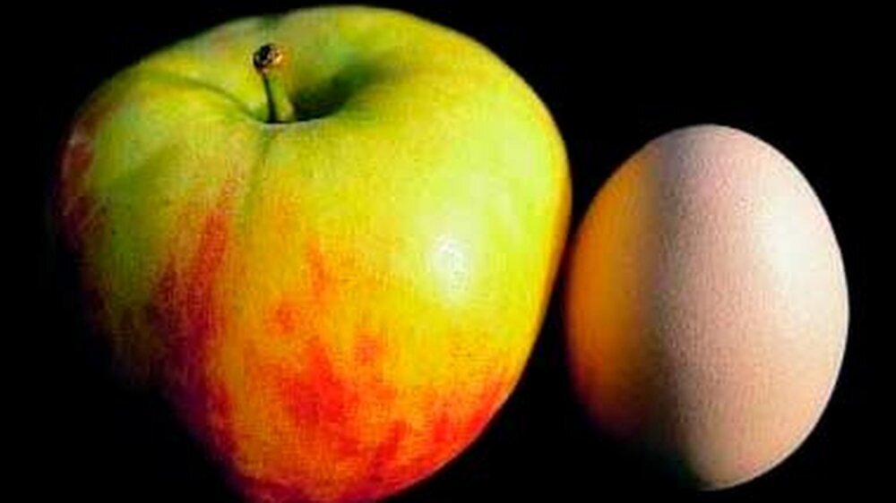 Es gibt eine ganze Palette von Zuwendungen für Mitarbeiter, die den Zahnarzt nicht viel oder gar nichts kosten, denn sie sind steuerfrei oder steuerbegünstigt – und damit grundsätzlich auch sozialversicherungsfrei.