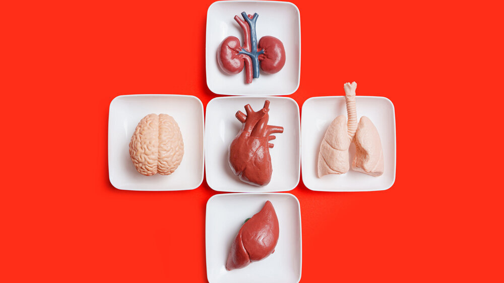 Organspende