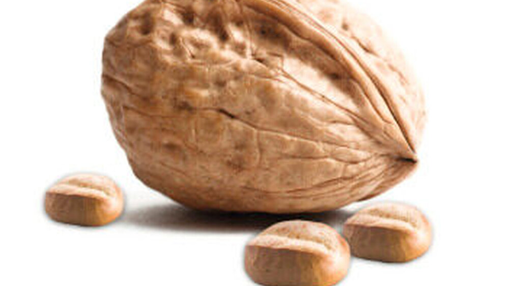 Lieber Nüsse knacken statt kleine Brötchen zu backen? Die anstehenden Herausforderungen für Deutschlands zahn-/medizinische Versorgung erfordern kreative Angänge statt Sparverordnungen, wenn der erreichte hohe Standard des Gesundheitswesens erhalten bleiben soll. |