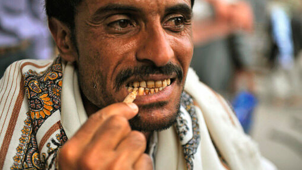 In Teilen Indiens und Afrikas werden die Zweige des Arakbaums noch heute zum Reinigen der Zähne verwendet. |