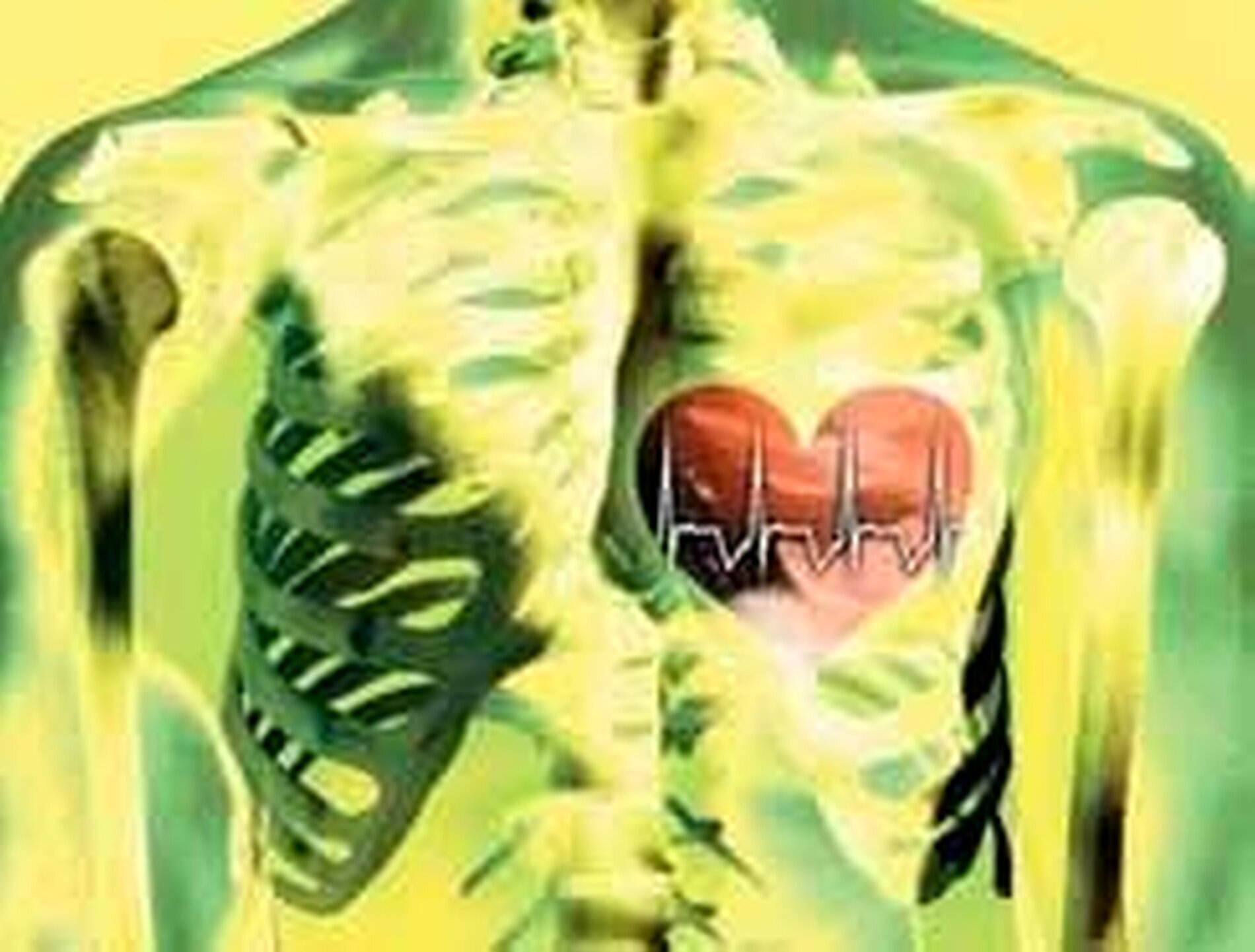 Die Pulmonale Hypertonie Zm online die-pulmonale-hypertonie-zm-online