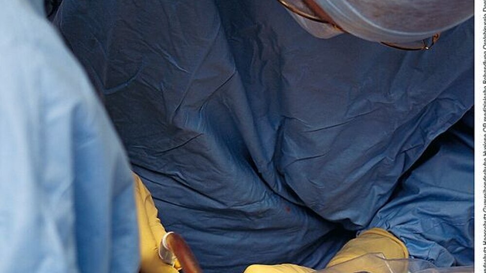 Die Muster-Weiterbildungsordnungen für Oralchirurgie ...