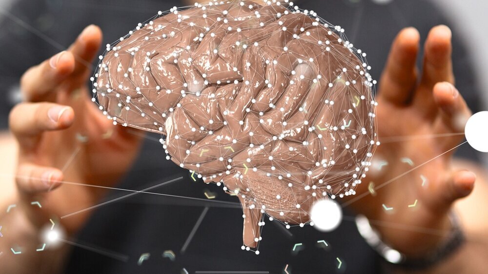 brain net