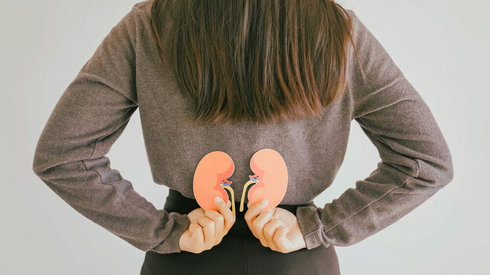 Eine Frau zeigt den Rücken und hält in ihren Händen zwei Nieren als Symbol für Organspende-Bereitschaft. Eine Frau zeigt den Rücken und hält in ihren Händen zwei Nieren als Symbol für Organspende-Bereitschaft.