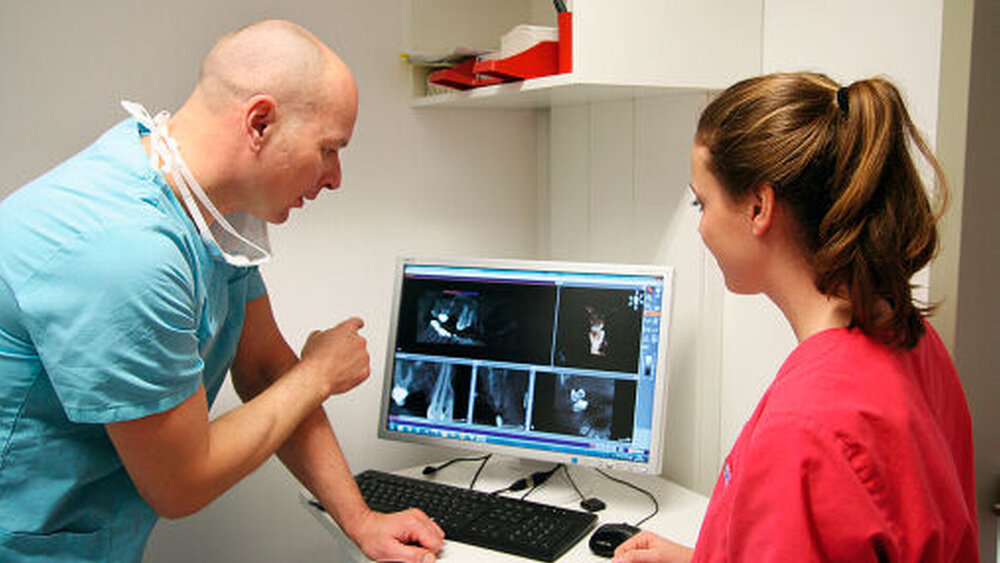 Dr. Falk Nagel erklärt anhand der Röntgenbilder eine Implantatplanung. |