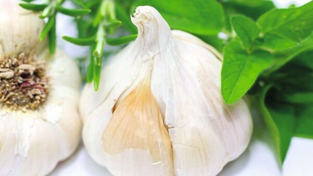 Eine natürliche Wunderwaffe: Knoblauch dient seit jeher als Heilmittel für zahl - reiche körperliche Leiden – besonders gut erforscht ist die Wirkung gegen Bluthochdruck.