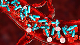 Sepsis, bacteria in blood. 3D illustration showing rod-shaped bacteria with red blood cells and leukocytes