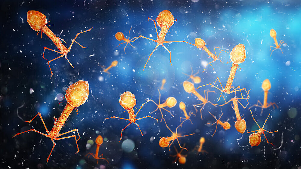 Microbiology concept. Bacteriophages on a blurred background. 3d illustration Microbiology concept. Bacteriophages on a blurred background. 3d illustration