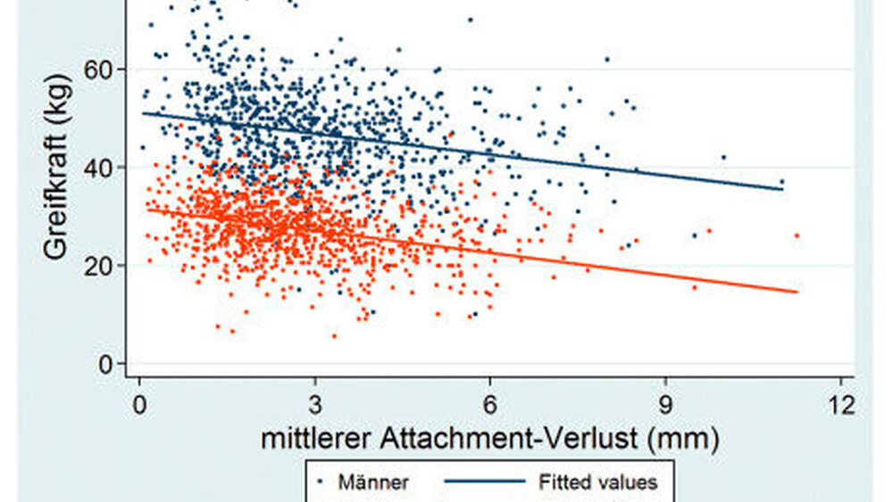 Abbildung 2: Greifkraft der dominanten Hand in Relation zum Attachmentverlust der Probanden: Jeder Punkt repräsentiert einen Teilnehmer, die Linien die Regressionsgeraden. |