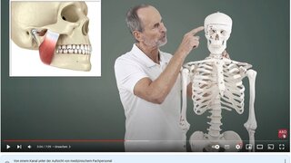 Youtube Gesundheitsvideo zu Thema Bruxismus