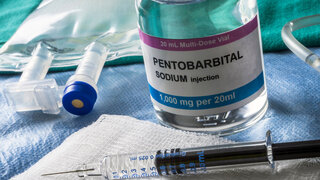 Pentobarbital