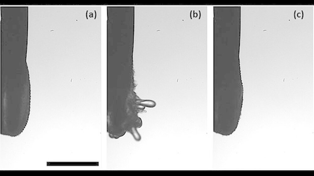 Standbilder aus einer Videosequenz über die Verwendung eines Cavitron-Scalers mit Zusatz von zwei Gewichtsprozent Polyacrylsäure in der Kühlflüssigkeit: a) die Ausgangsituation, b) „Medusenhaupt“ und c) den Pseudo-Gleichgewichtszustand ohne Aeroso