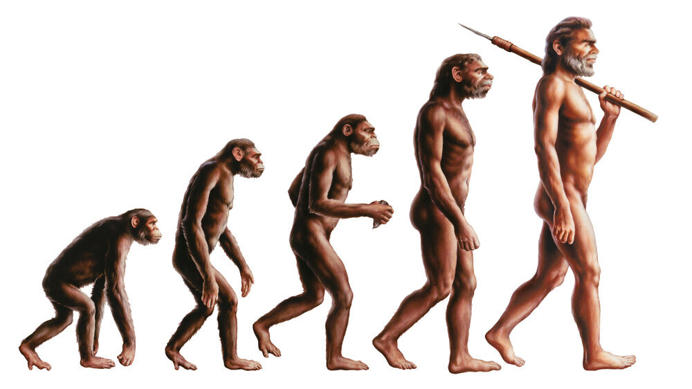 Evolution Evolution