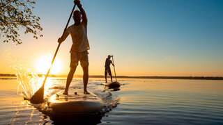 Men, friends sail on a SUP boards in a rays of rising sun. Stand up paddle boarding - awesome active recreation in nature. Backlight.