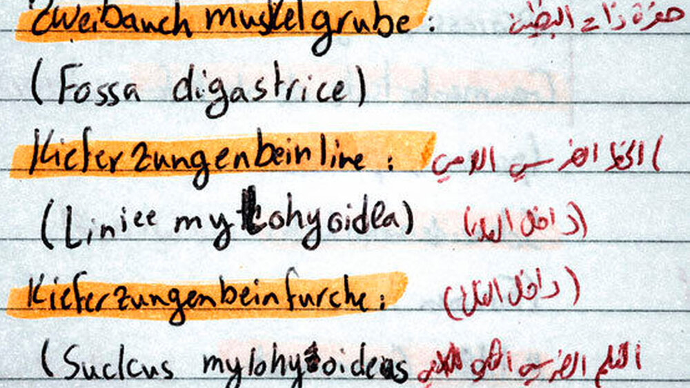 Aus diesen Notizen soll das dentale Online-Fachwörterbuch in Arabisch und Deutsch entstehen. |