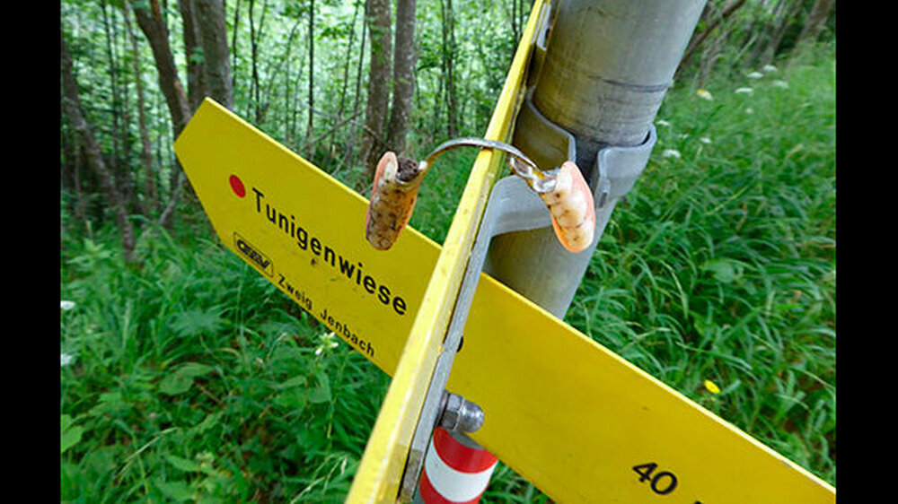 Hier die Teleskoparbeit en detail.. Wer hat sie angefertigt?