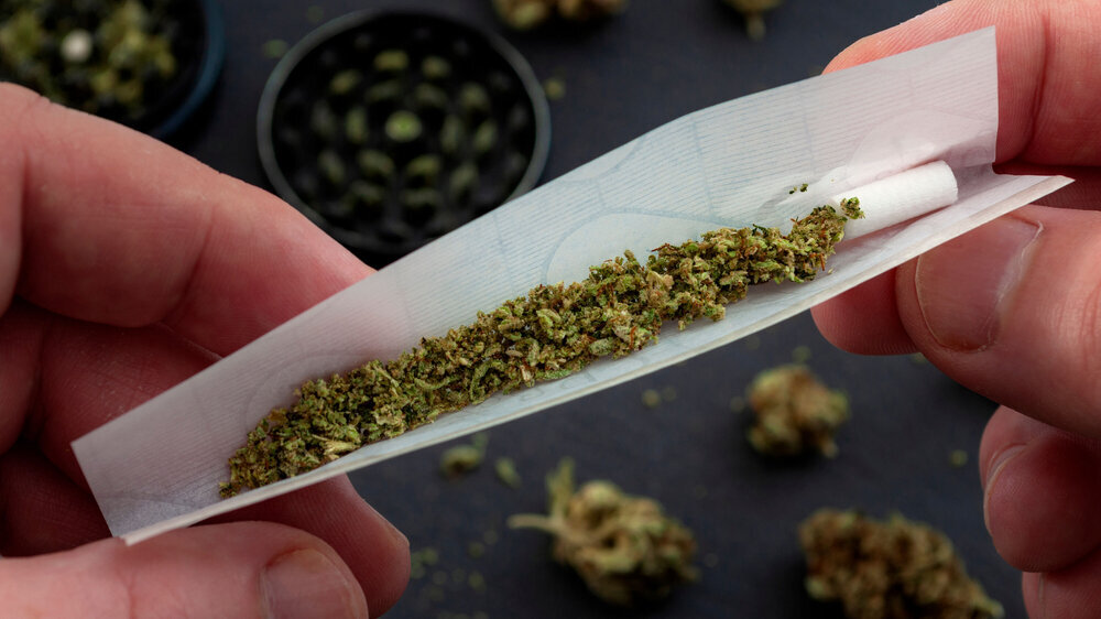 Cannabis Cannabis