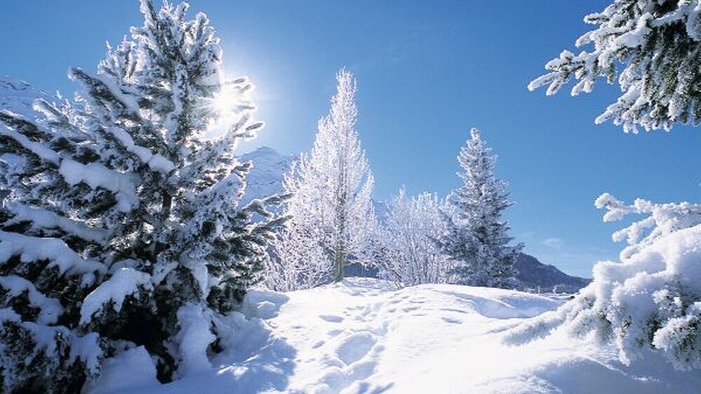 Idylle? Schnee von gestern? Oder gar Vorboten des Klimawandels von morgen? Es ist eine Frage der Sichtweise. Auch wenn Probleme wie Erderwärmung, internationale Finanzkrise oder Gesundheitsfonds nicht gerade besinnlich stimmen: Genießen Sie trotzdem Wei