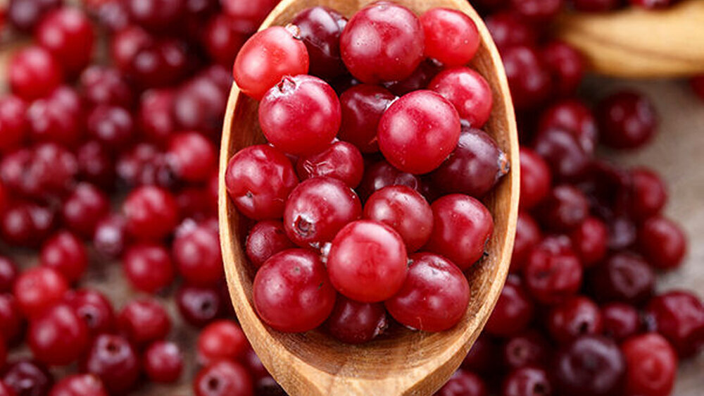 Das Wissenschaftlerteam schlussfolgert, dass Cranberry-Extrakte die Kariogenität und Virulenz von Mischkultur-Biofilmen deutlich inhibieren können. Verantwortlich dafür macht es die vor allem in roten Früchten enthaltenen Pflanzenstoffe Polyphenole. I