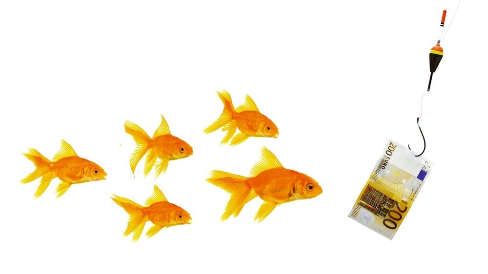 Goldfishes and money Geld als Lockmittel Goldfische