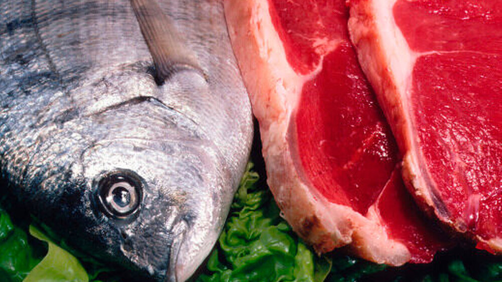 Ohne Probleme können naturbelassener Fisch und Fleisch auf den Speiseplan gesetzt werden. |
