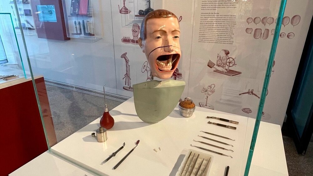 Zur Dauerausstellung gehört auch ein zahnärztlicher Phantomkopf, um 1930, aus dem Dental-Museum Zschadraß. Erste Phantome für die Lehre entstanden Ende des 19. Jahrhunderts. Trägerplatten aus Latex wurden als Ober- und Unterkiefer in stilisierten Köpfen befestigt und zunächst mit echten, später auch mit künstlichen Zähnen in Zahnreihen bestückt.