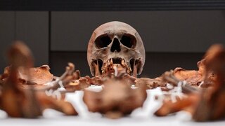 Gebeine Otto des Großen