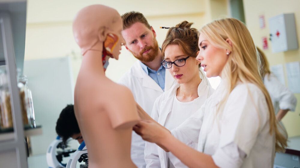 Students of medicine examining anatomical model Die Novelle des Medizinstudiums wird verschleppt, kritisiert der Deutsche Hausärzteverband.
