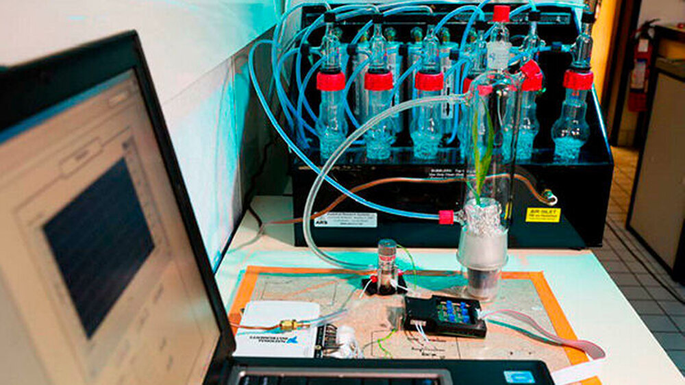Das Atemtestgerät mit Apparatur. Mithilfe unterschiedlicher Polymere auf den verschiedenen Sensoren können die Forscher einen Überblick über die Gaszusammensetzung der Atemluft des Patienten erhalten.