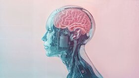 Artificial intelligence concept image showing a transparent robotic human head with visible brain and electronic circuits, suggesting the integration between human mind and technology