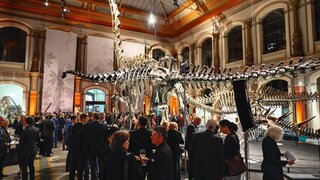 BZÄK-Neujahrsempfang 28.1.2025, Naturkundemuseum