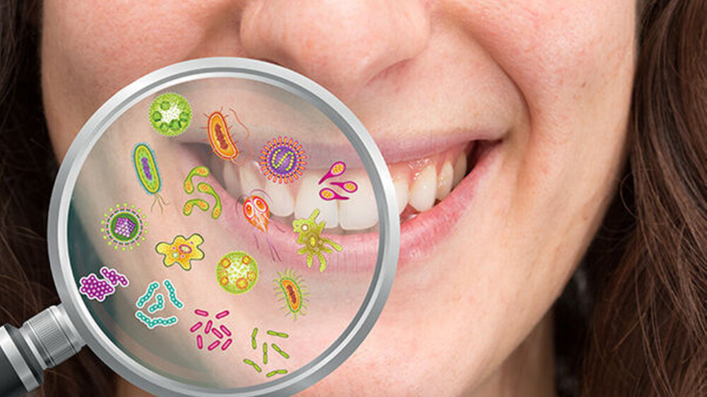 Die Ergebnisse der vorliegenden Studie legen eine Verbindung des oralen Mikrobioms mit der menschlichen Gesundheit, insbesondere der Fettleibigkeit, nahe,