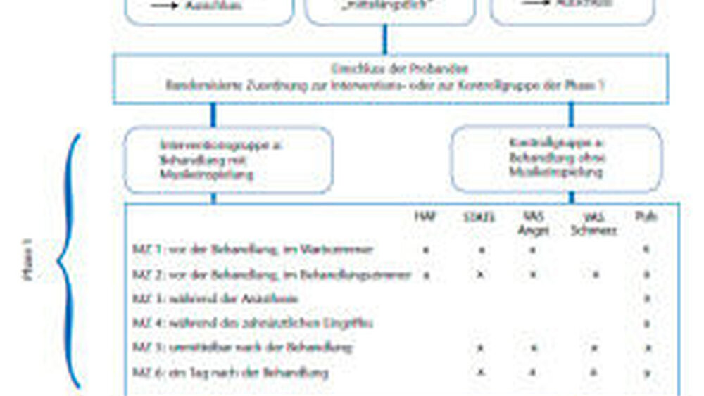 Schematische Darstellung des Studienablaufs |