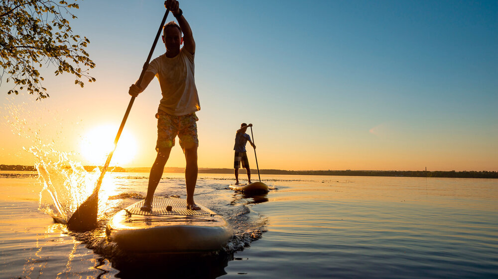 Men, friends sail on a SUP boards in a rays of rising sun Men, friends sail on a SUP boards in a rays of rising sun. Stand up paddle boarding - awesome active recreation in nature. Backlight.