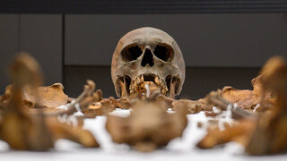 Gebeine Otto des Großen