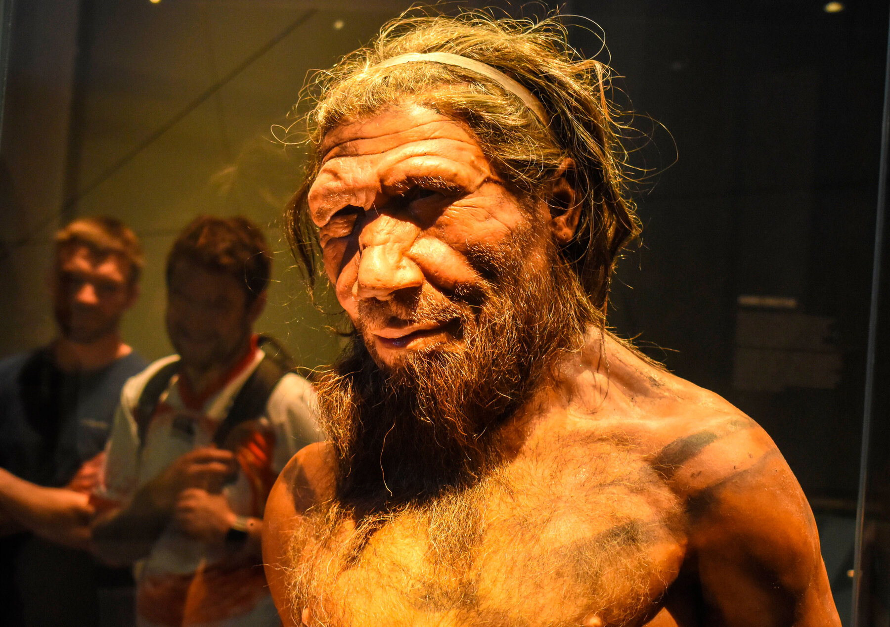 Erwachsener männlicher Neandertaler, ca. 40.000 Jahre.