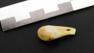 Isolierung von DNA aus Zähnen
