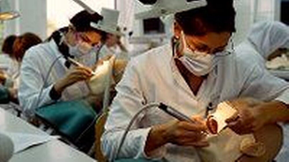 Eine Stärkung von zahnmedizinischer Forschung und Lehre fordert der Wissenschaftsrat.