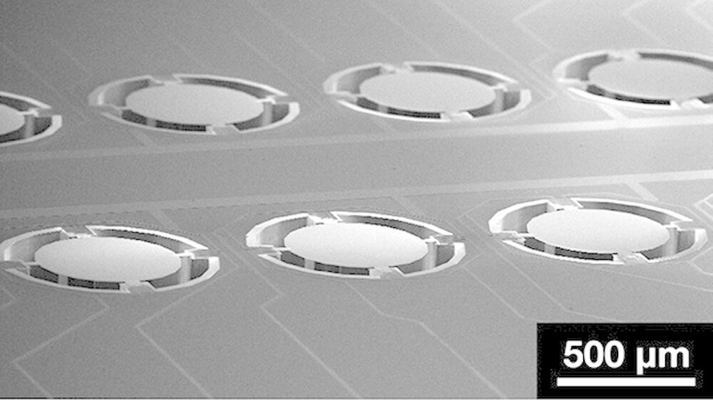 Das Electron-Raster-Microskop: Jeder Sensor besteht aus einer Siliciumscheibe aus einem Durchmesser von 500 Mikrometern, die mit einem Polymer und mit vier kleinen Piezowiderständen bestückt ist.