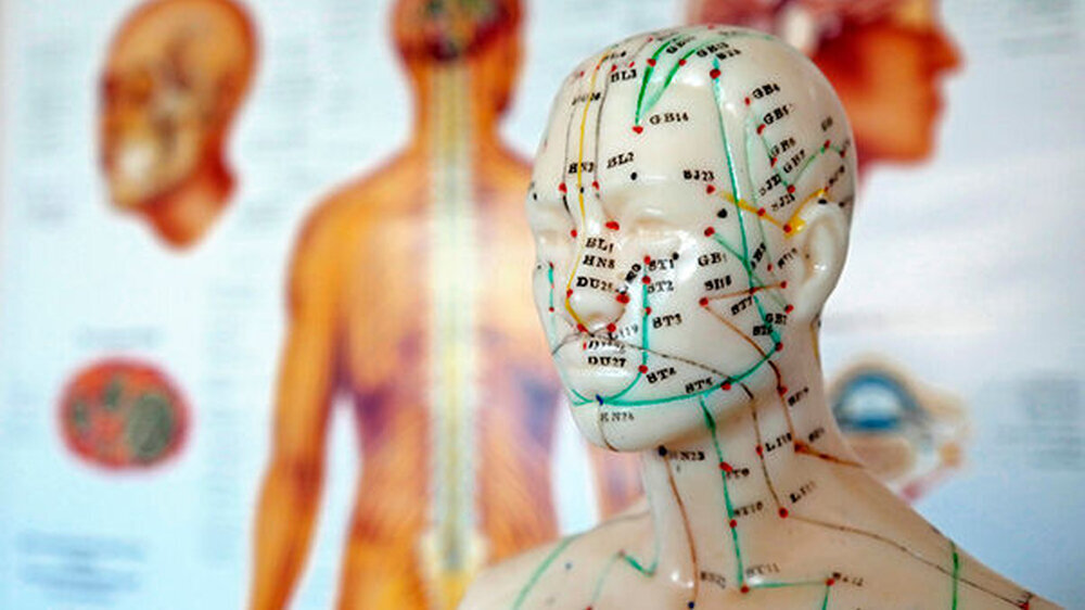 Parallelwelt Heilpraktiker? „Wir wollten ausloten, wie ein solidarisches Gesundheitswesen verantwortlich und fair mit dem Clash zwischen gefährlicher Pseudowissenschaft und Selbstbestimmung umgehen sollte“, erklärt Prof. Bettina Schöne-Seifert, Leh