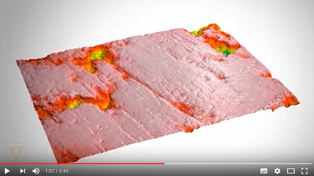 Beispiel für ein 3-D-Modell der mikroskopischen Verschleißmuster der Löwenzähne: Die Verschleißmuster zeigen, dass die menschenfressenden Löwen keine Knochen fraßen. "In der Tat ähneln die Verschleißmuster ihrer Zähne auffallend denen von Zoo-L