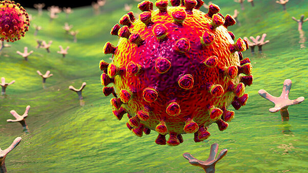 SARS-CoV-2 nutzt anders als sein Vorgänger SARS-CoV-1 neben ACE-2 einen weiteren Rezeptor zum Eintritt in die Zellen, welcher ursächlich für das breite Symptomspektrum des Virus ist.