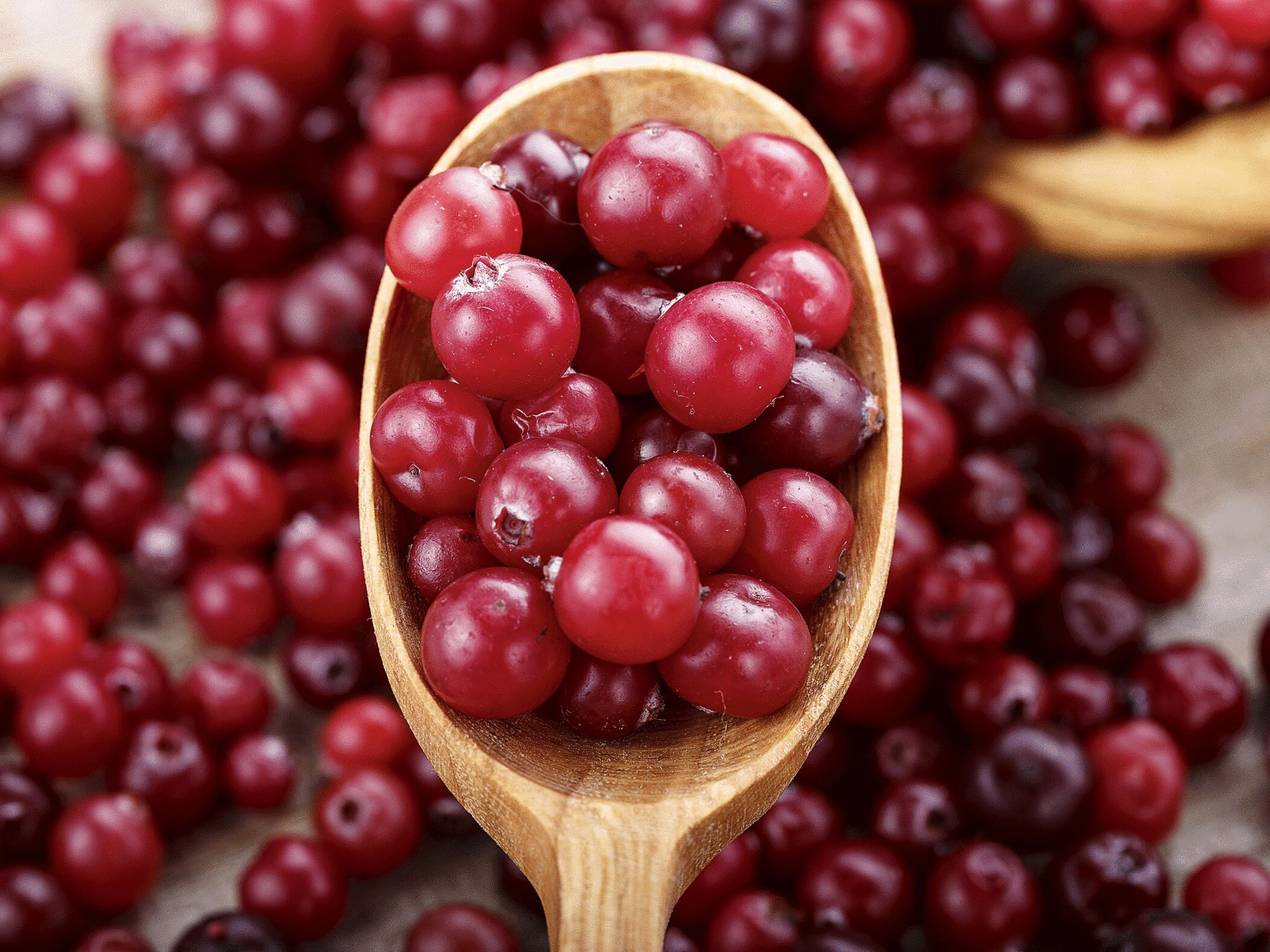 Mit Cranberrys gegen Karies - zm-online