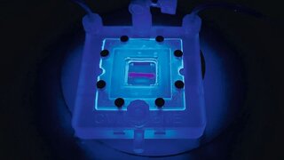3-D-Druck lebender Zellen: Hilfe für Diabetes-Patienten
