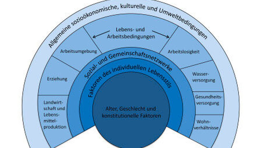 Abbildung 3: Die wichtigsten Determinanten von Gesundheit |