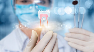 The concept of dental treatment. The doctor looks at the model of the tooth.