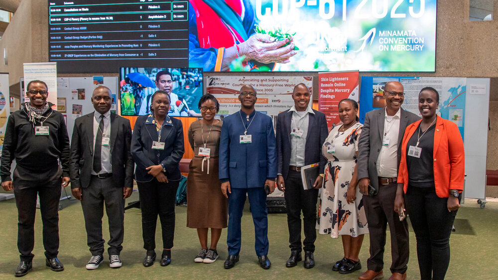 Minamata Convention in Genf 2025